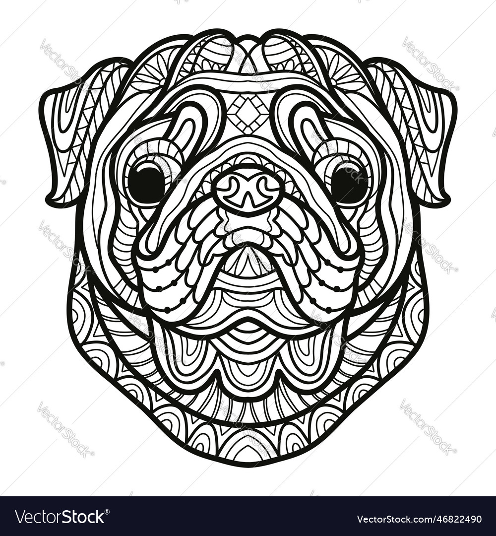 Pug dog head coloring book page royalty free vector image