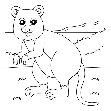 Premium vector quokka animal coloring page for kids