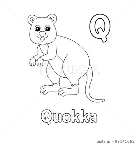 Quokka alphabet abc coloring page q