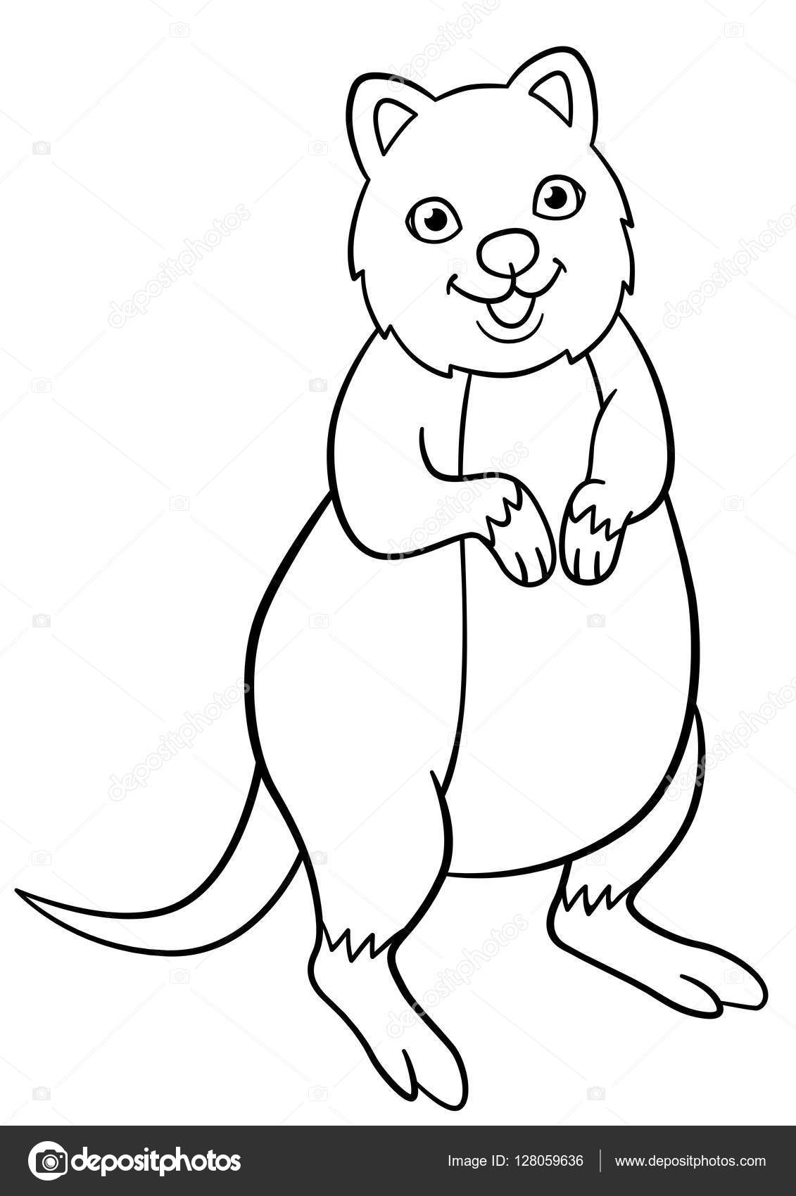 Coloring pages little cute quokka smiles stock vector by ya