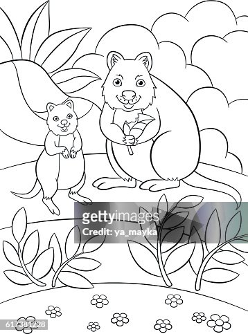 Colorg pages mother quokka with her cute baby high