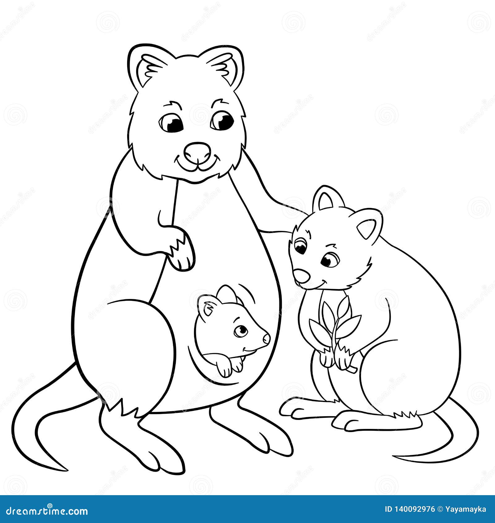 Coloring pages mother quokka with her little cute babies stock vector