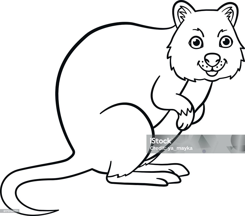 Coloring pages little cute quokka smiles stock illustration