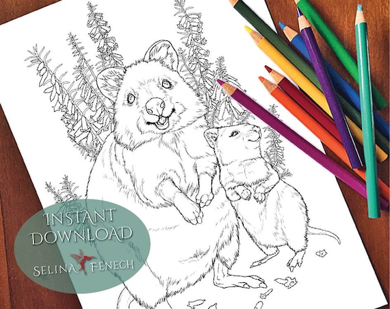 Quokka australian animals and wildflowers coloring pagedigi