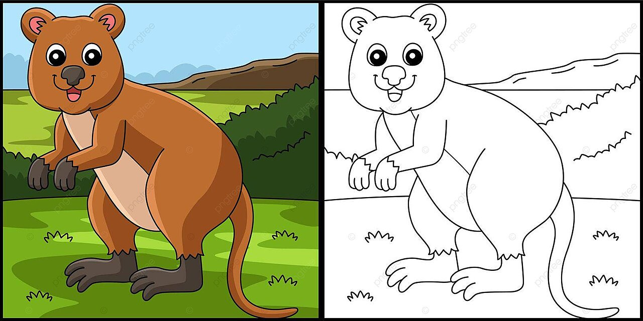 Quokka animal coloring page colored illustration hand drawn animal colour vector animal drawing rat drawing ring drawing png and vector with transparent background for free download