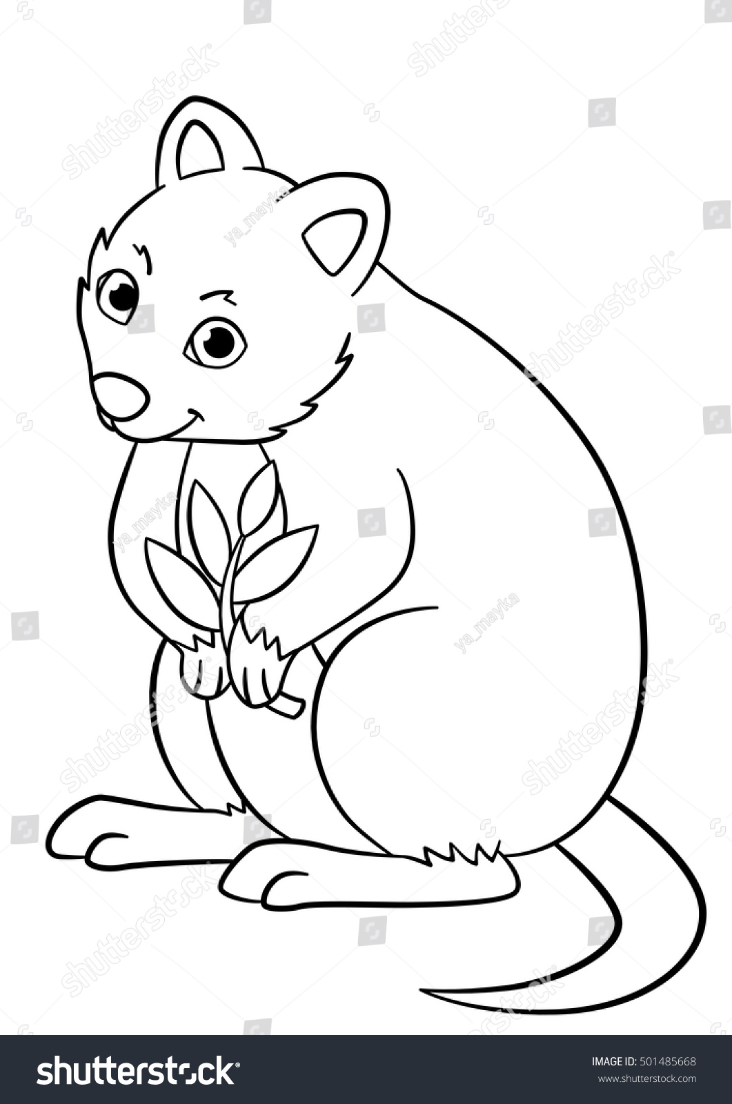 Coloring pages little cute quokka holds stock vector royalty free