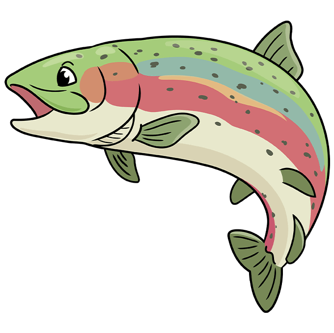 How to draw a rainbow trout