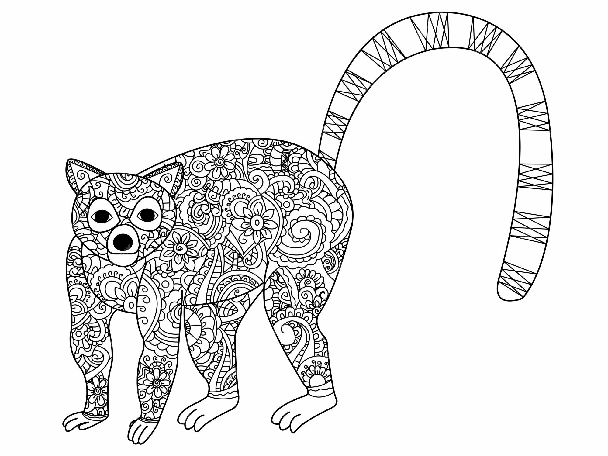 Premium vector ring tailed lemur coloring vector for adults