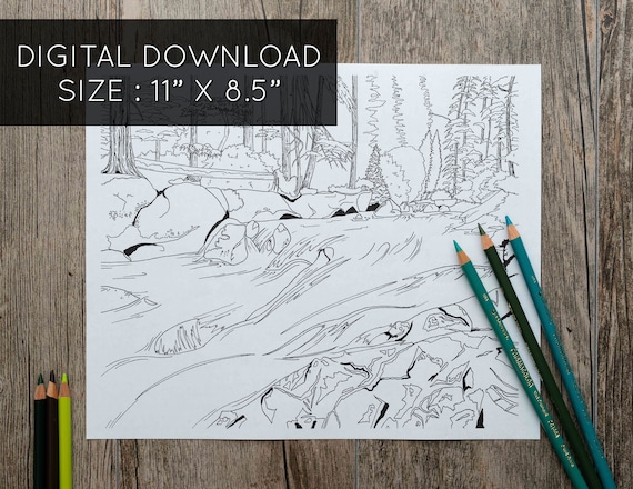 Forest river printable adult coloring page river coloring page forest coloring page trees coloring page nature coloring pages