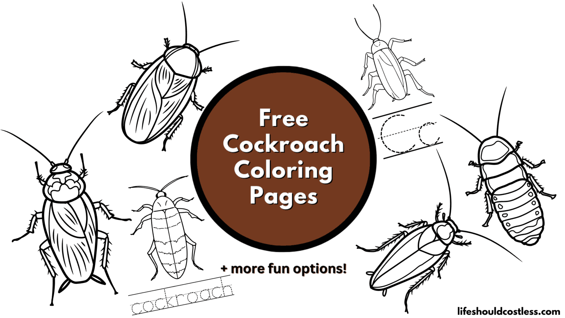 Cockroach coloring pages free printable pdf templates