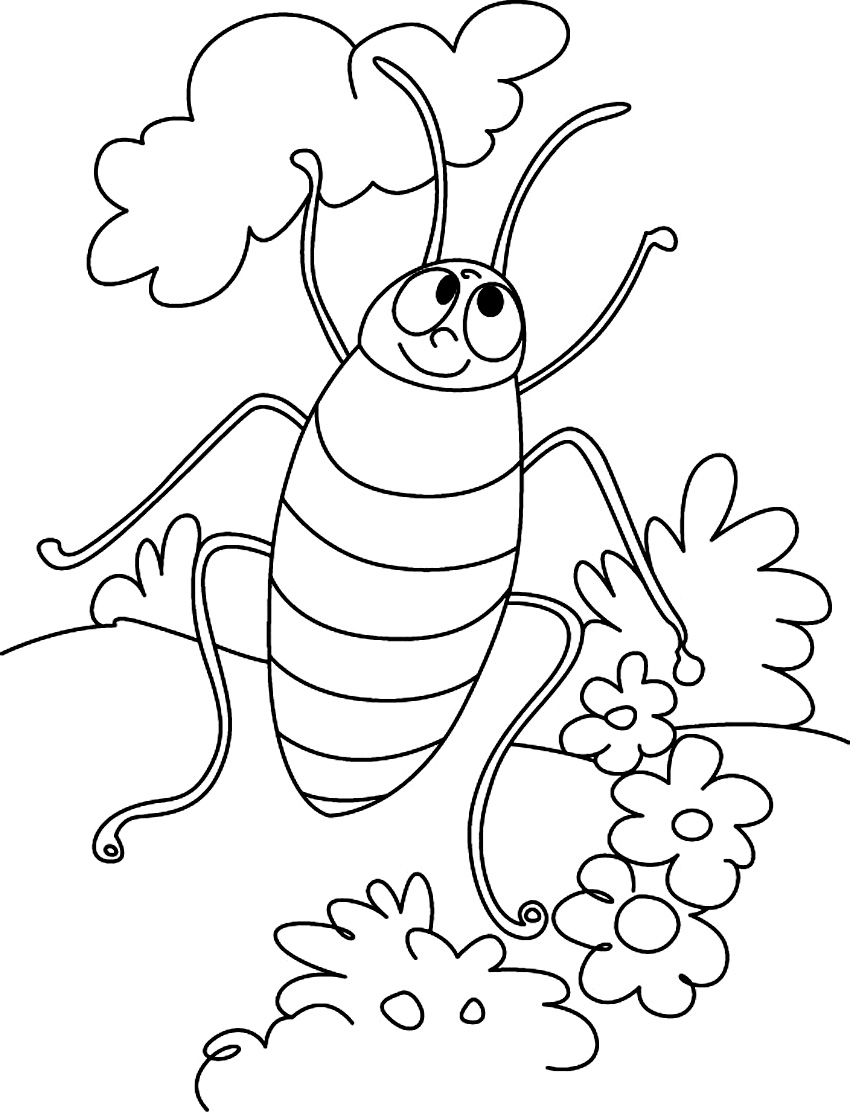 Free printable cockroach coloring pages for kids