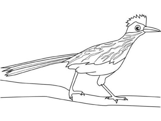 Pin on roadrunner coloring sheets