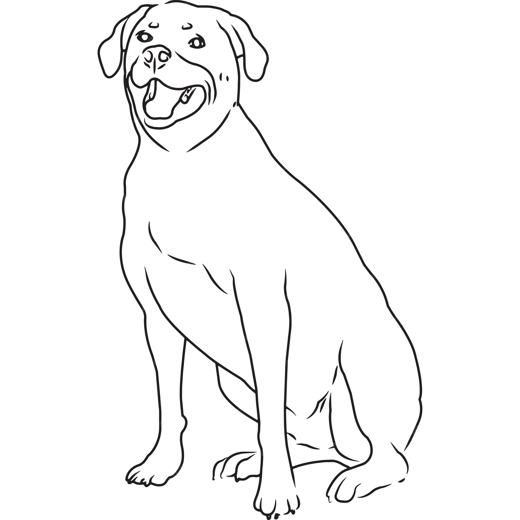 Premium vector rottweiler dog hand sketched vector drawing