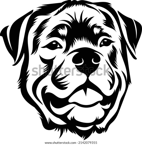 Rottweiler drawing images stock photos d objects vectors