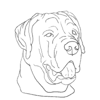 Rottweiler coloring pages