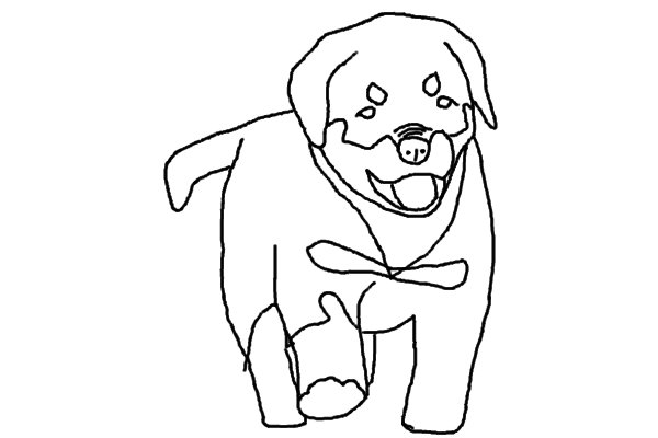 Rottweiler puppy lineart free by kaetzchen on