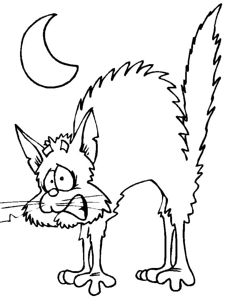 Scared cat coloring page