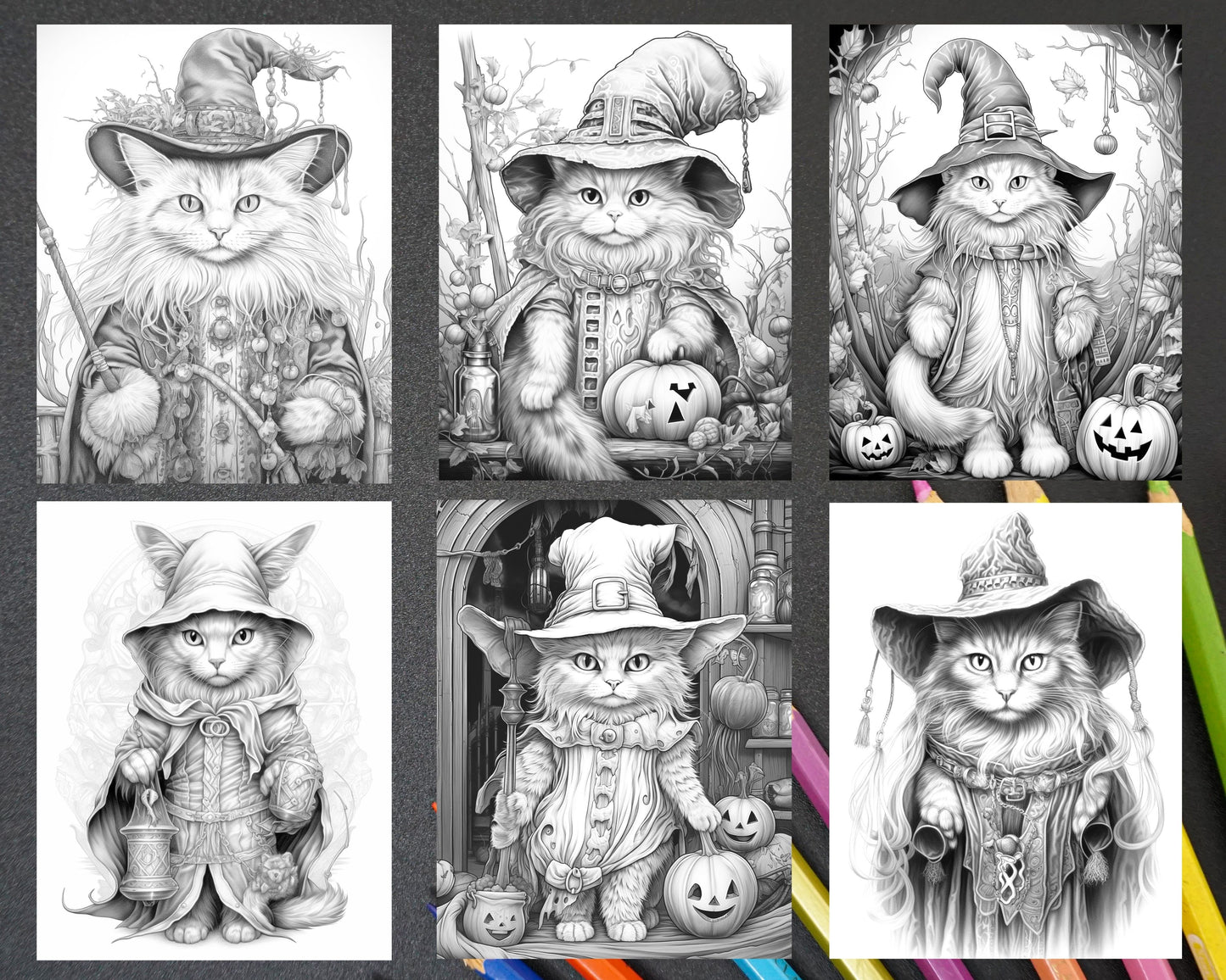 Halloween witch cat grayscale coloring pages printable for adults â coloring