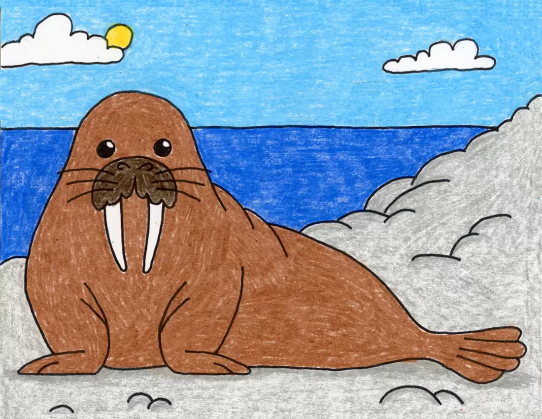 Easy how to draw a sea lion tutorial and sea lion coloring page