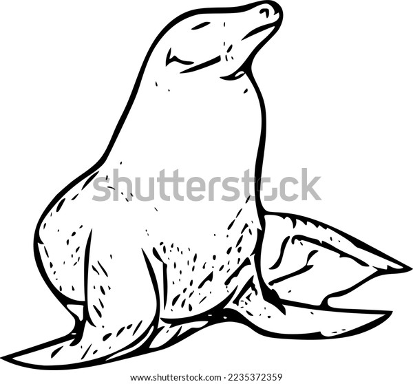 Sea lion drawing images stock photos d objects vectors