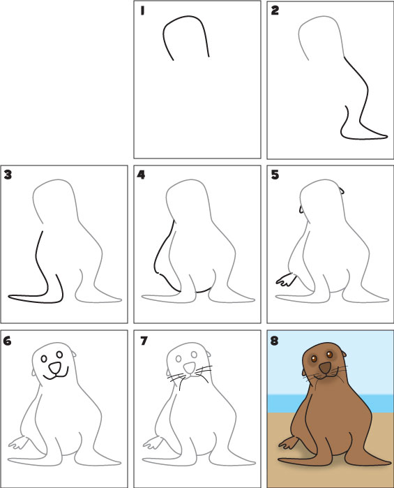 How to draw a sea lion kid scoop