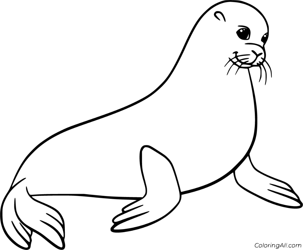 Free printable sea lion coloring pages in vector format easy to print from any device and automatically fiâ lion coloring pages lion drawing simple sea lion