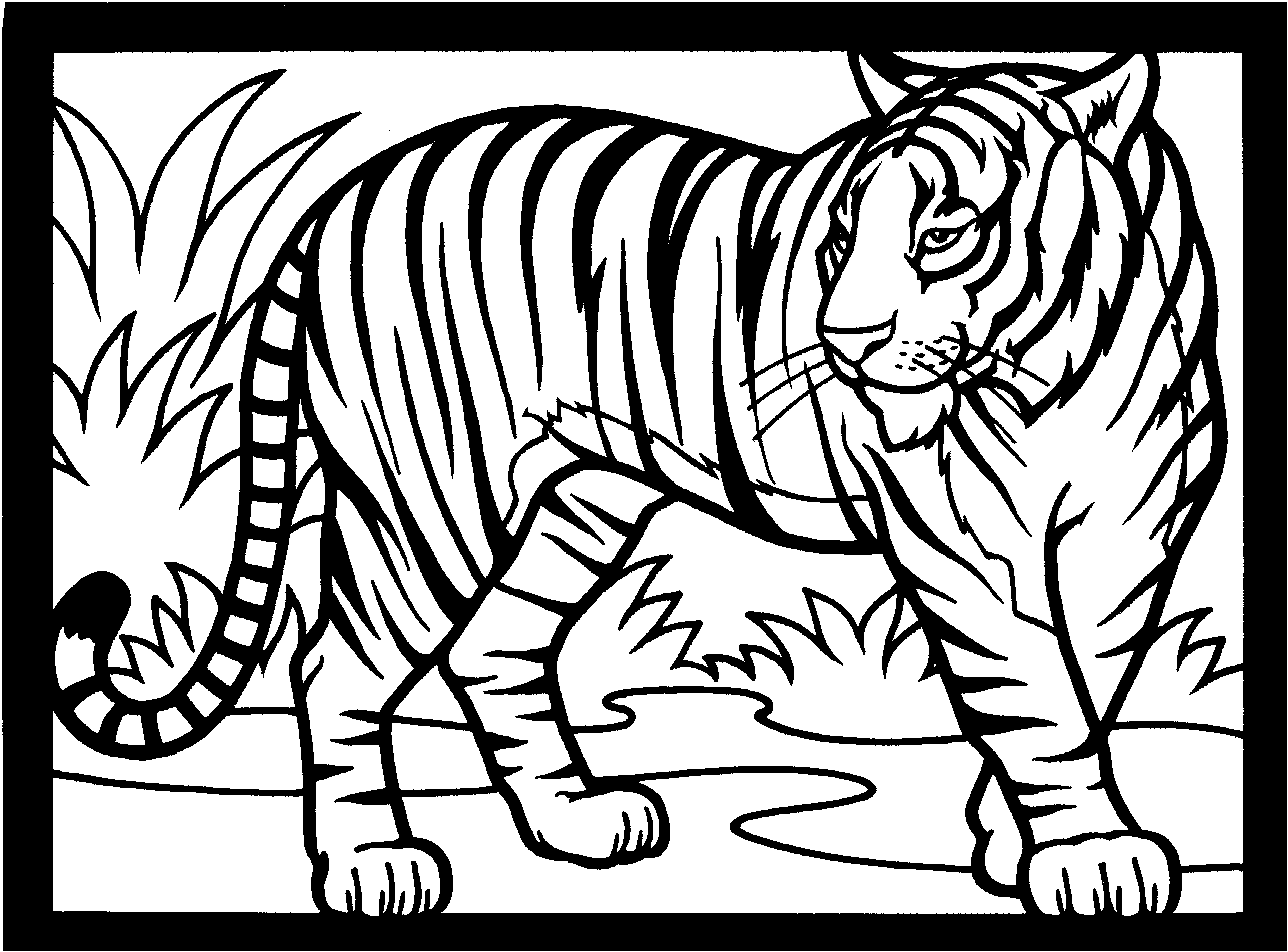 Free tiger coloring pages