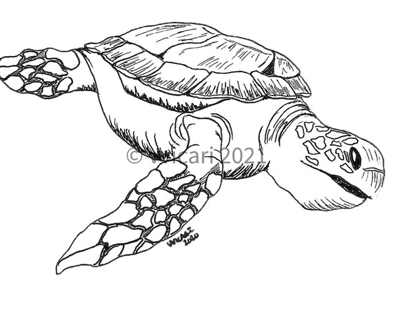 Printable animal art print snapping turtle black and white illustration coloring page instant download
