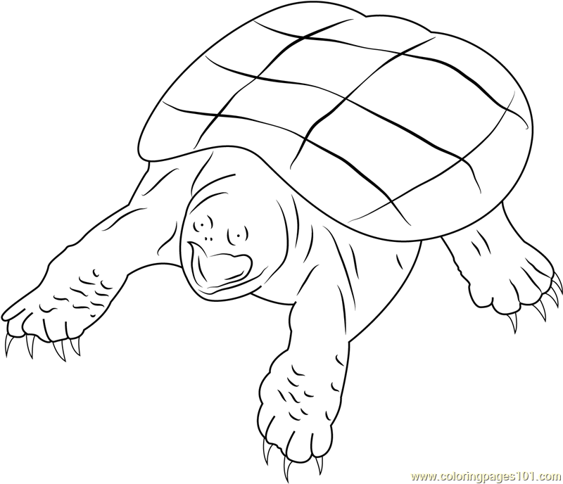 Snapping turtle coloring page for kids