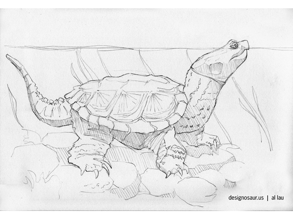 Drawing snapping turtle blogdesignosaurus