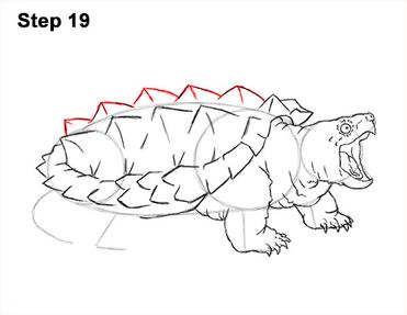 How to draw an alligator snapping turtle