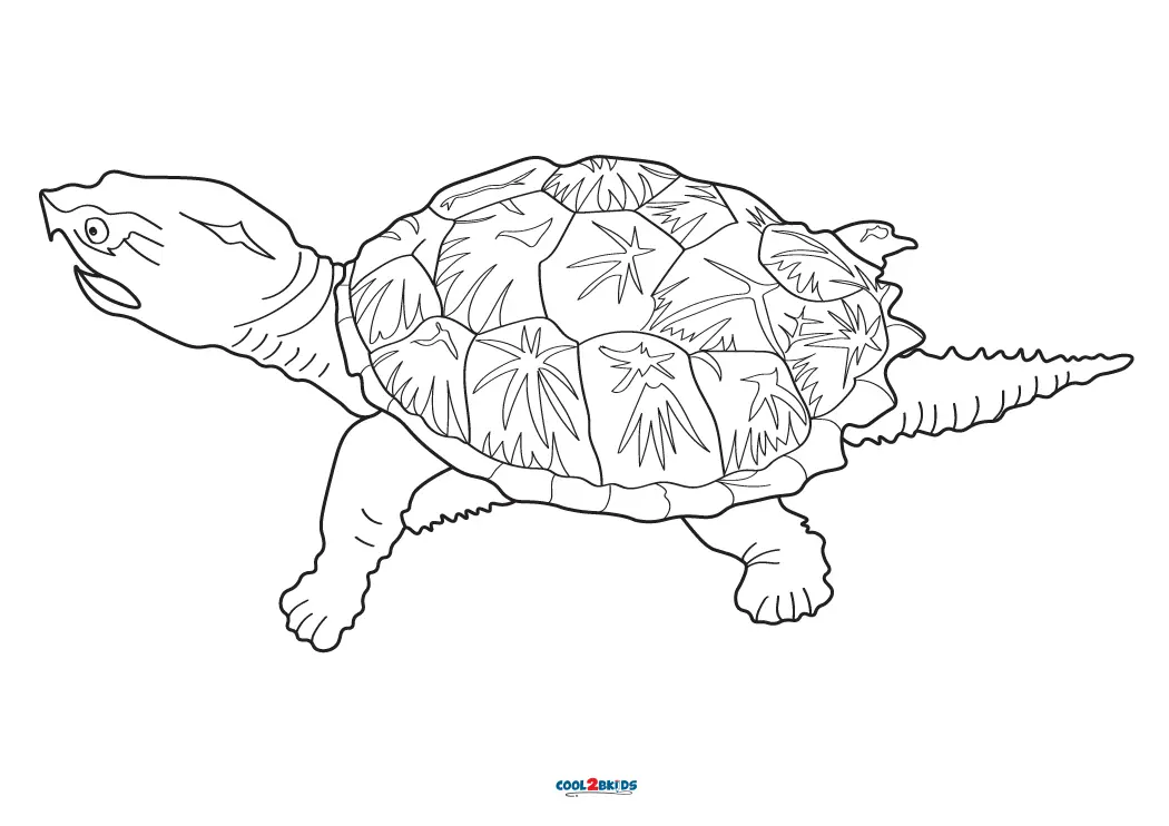 Free printable snapping turtle coloring pages for kids
