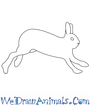 How to draw a snowshoe hare