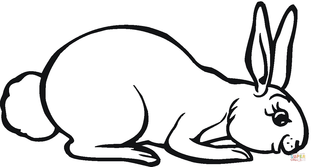 Hare coloring page free printable coloring pages