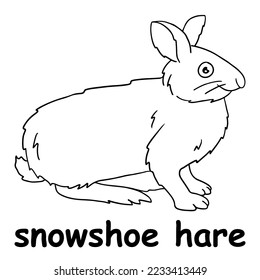 Kids line illustration coloring snowshoe hare stock vector royalty free