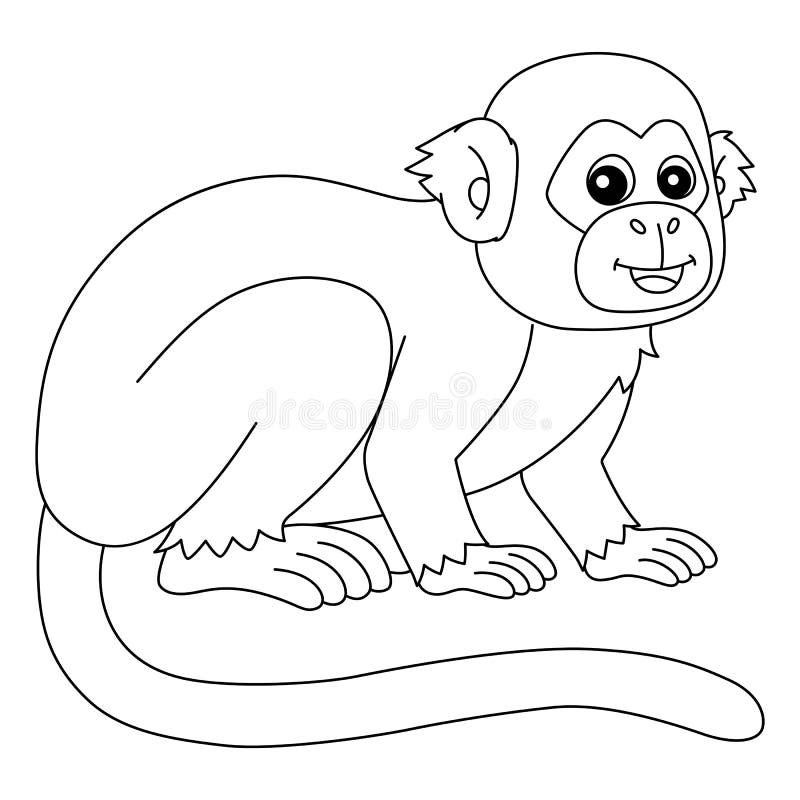Squirrel monkey animal isolated coloring page stock vector