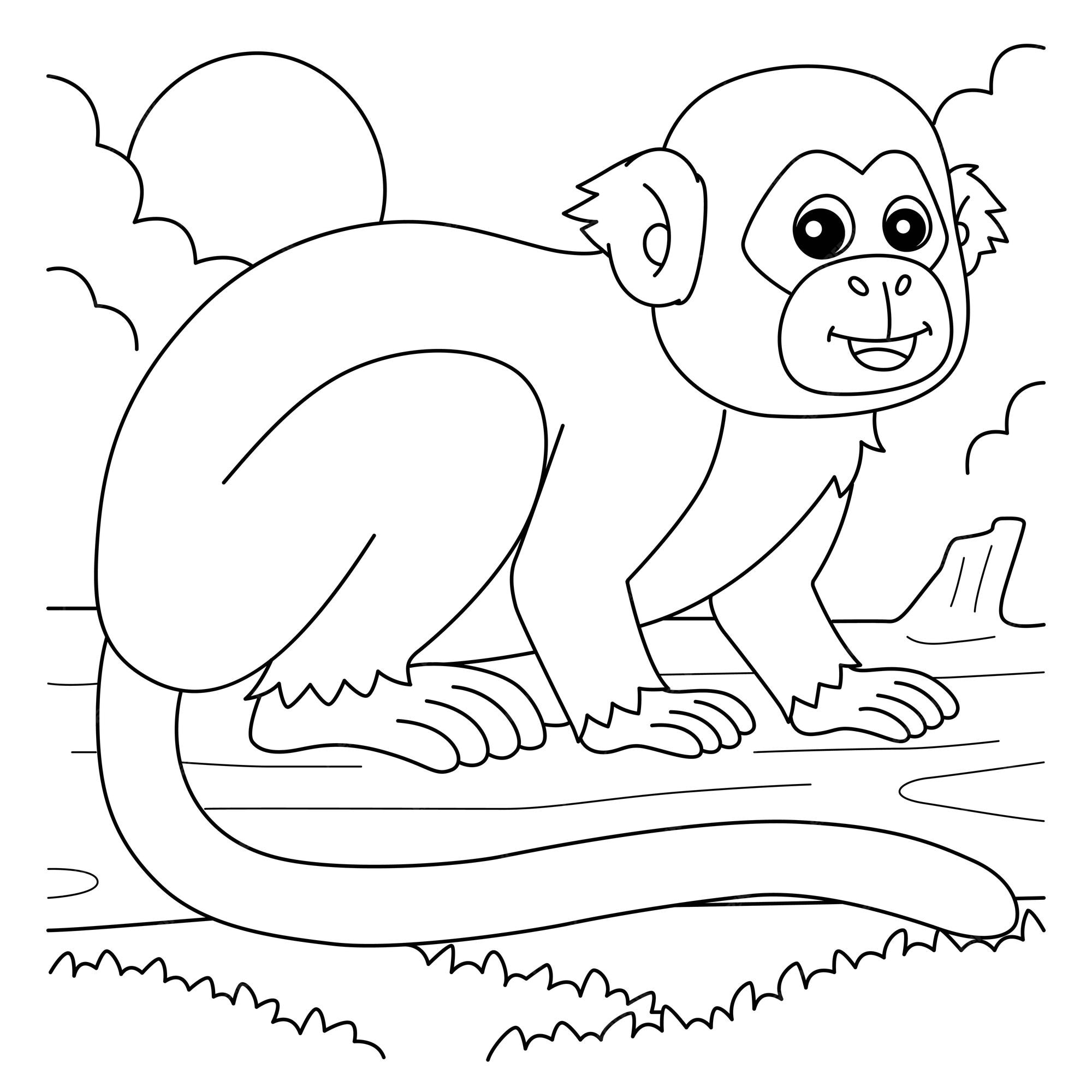 Premium vector squirrel monkey animal coloring page for kids