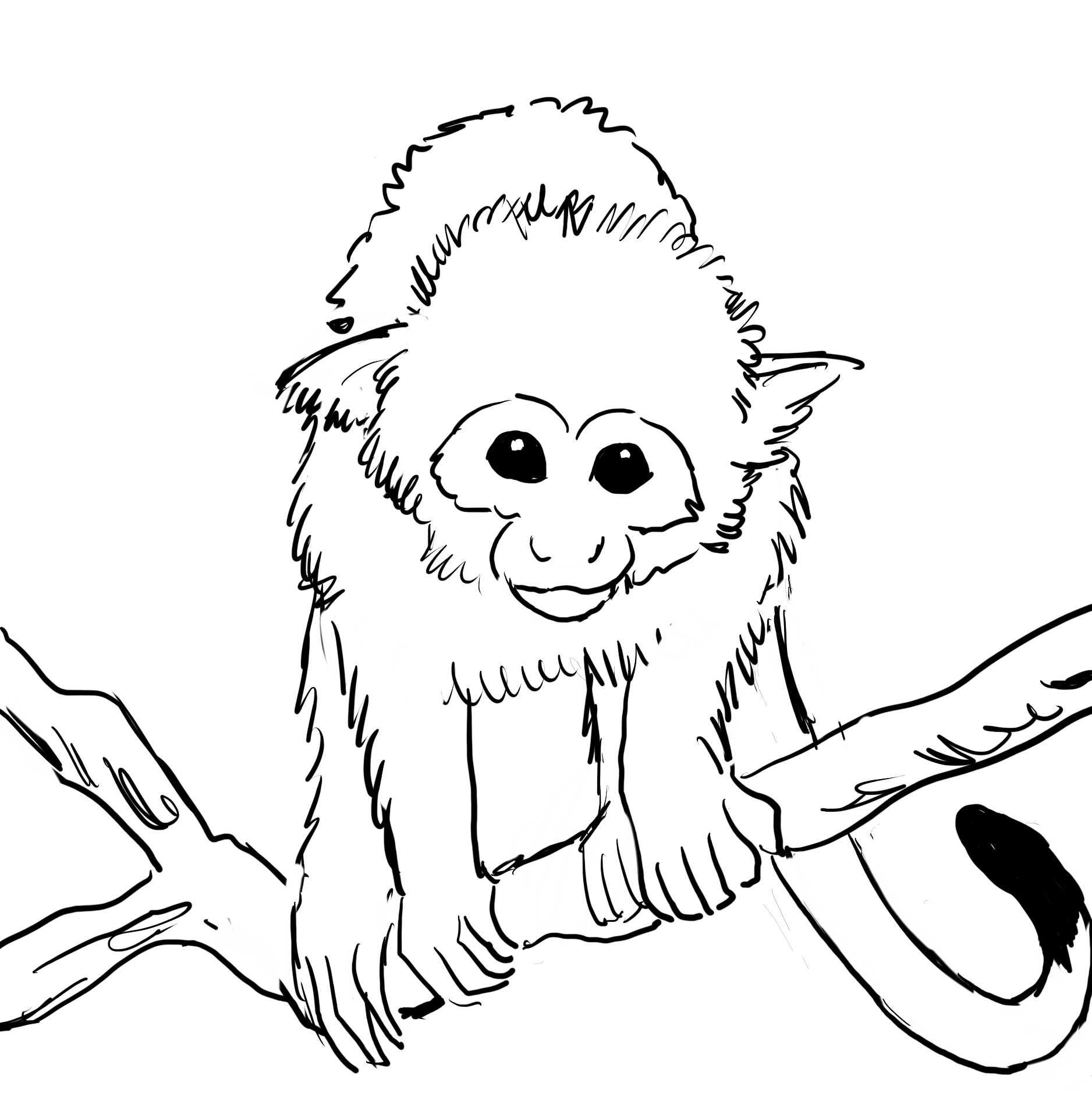 Squirrel monkey coloring page
