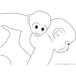 Squirrel monkey coloring page for kids