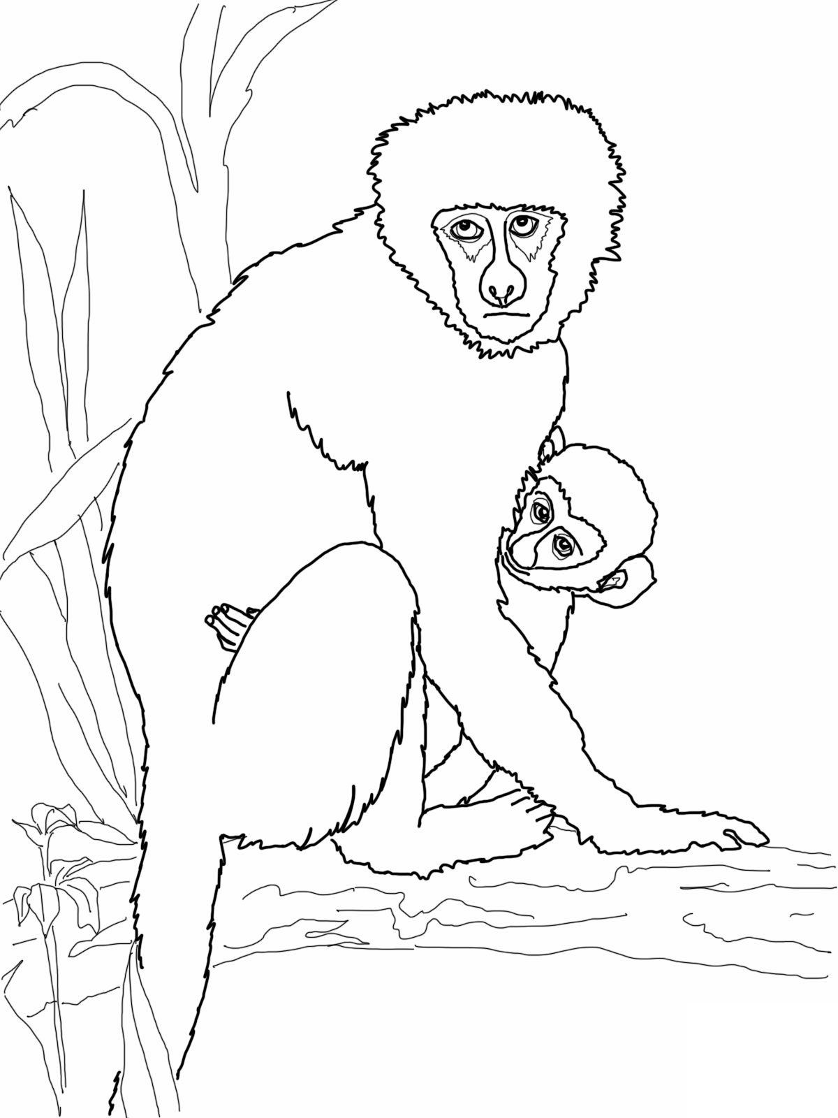 Free printable monkey coloring pages for kids