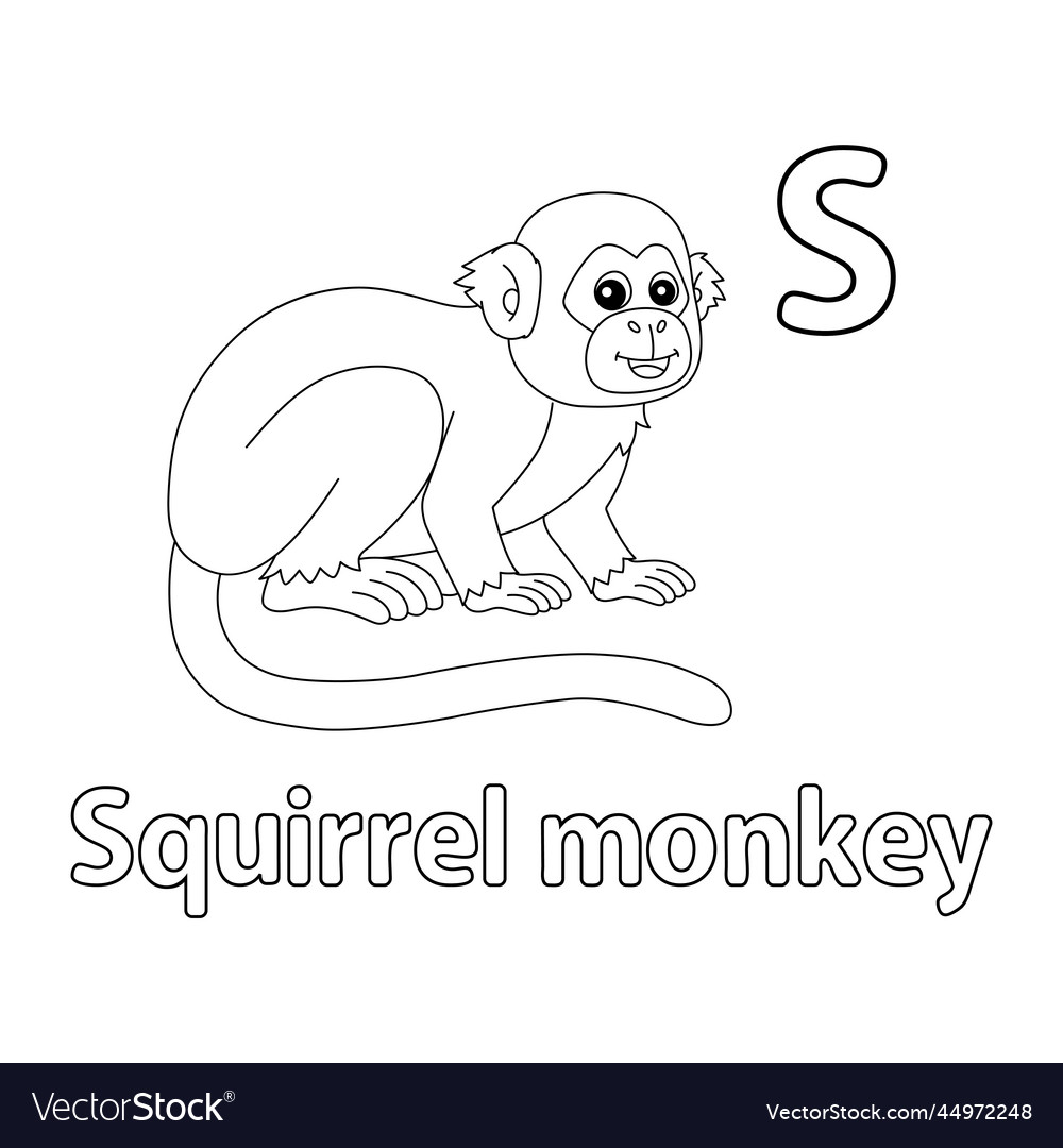 Squirrel monkey alphabet abc isolated coloring s vector image