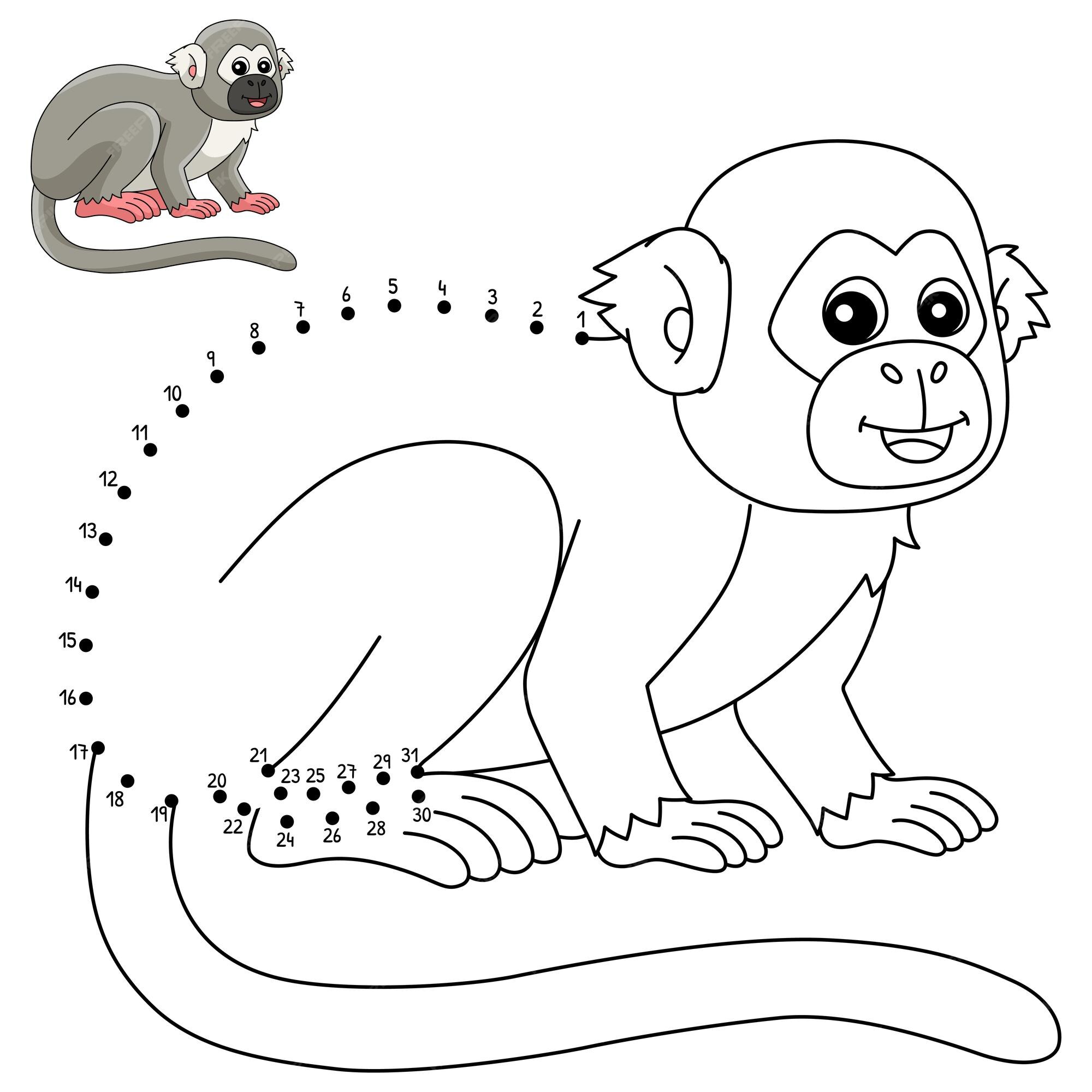 Premium vector dot to dot squirrel monkey isolated coloring