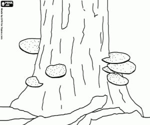 Mushrooms on a tree trunk coloring page printable game coloring pages nature coloring pages animal printables