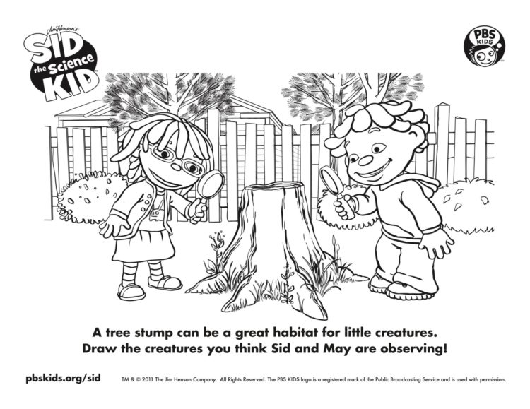 Tree stump coloring page kids coloring pages kids for parents