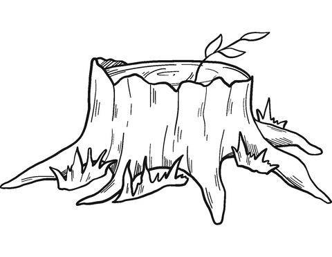 Tree stump coloring page free printable coloring pages