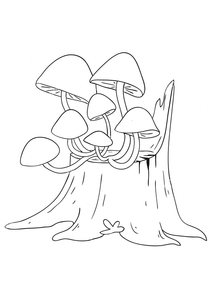 Tree stump coloring pages coloring pages tree coloring page jazz cat