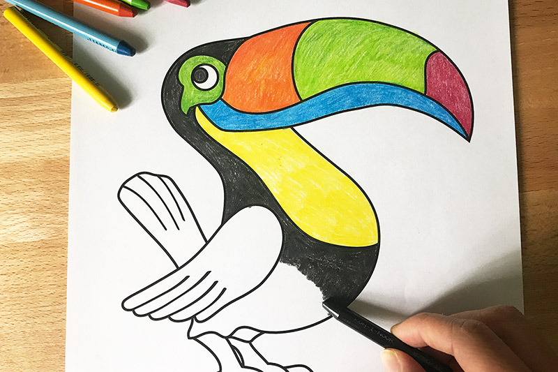 Toucan free printable templates coloring pages