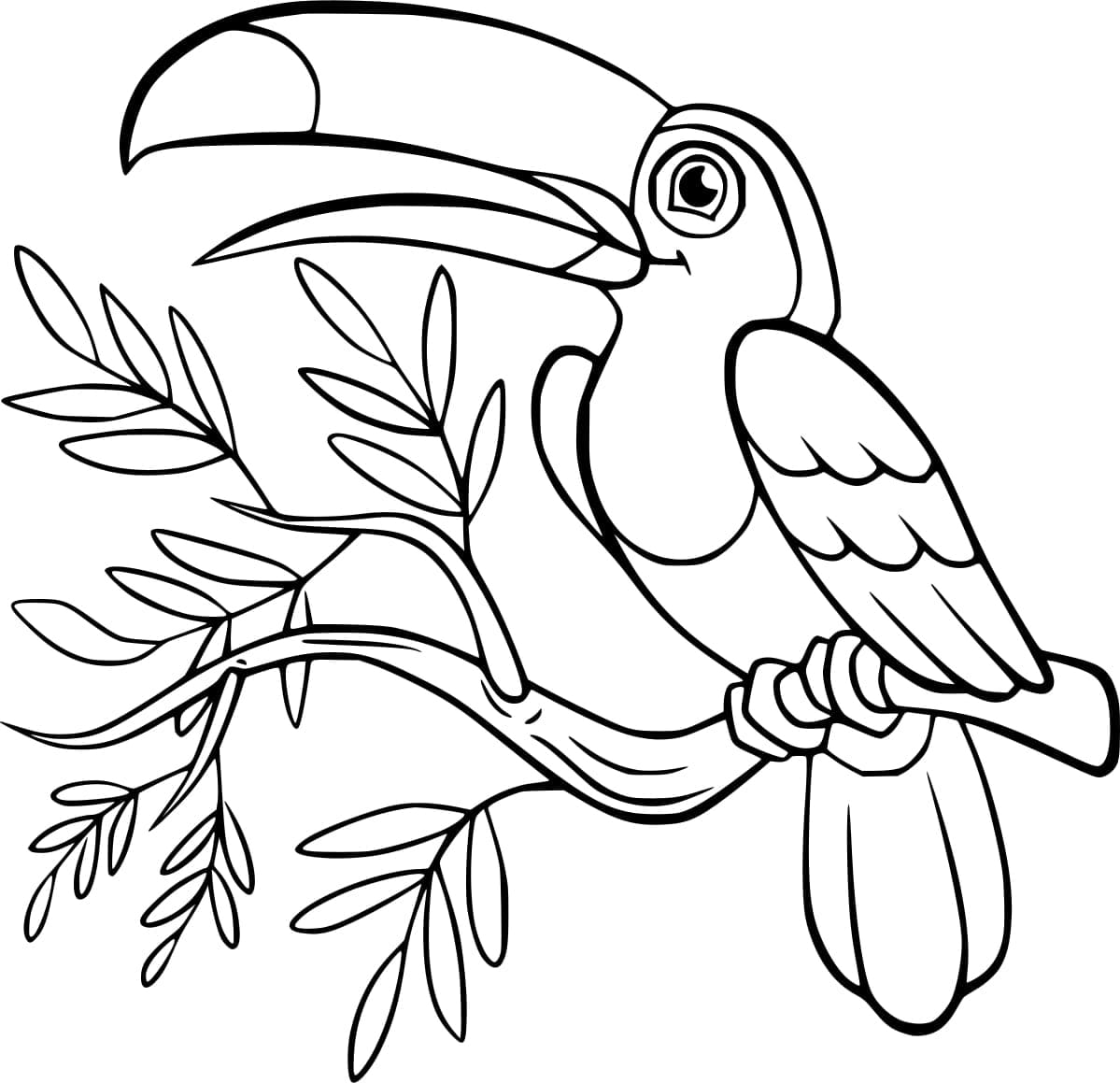 Lovely toucan coloring page