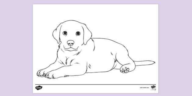 Cute puppy colouring page â colouring activity for kids