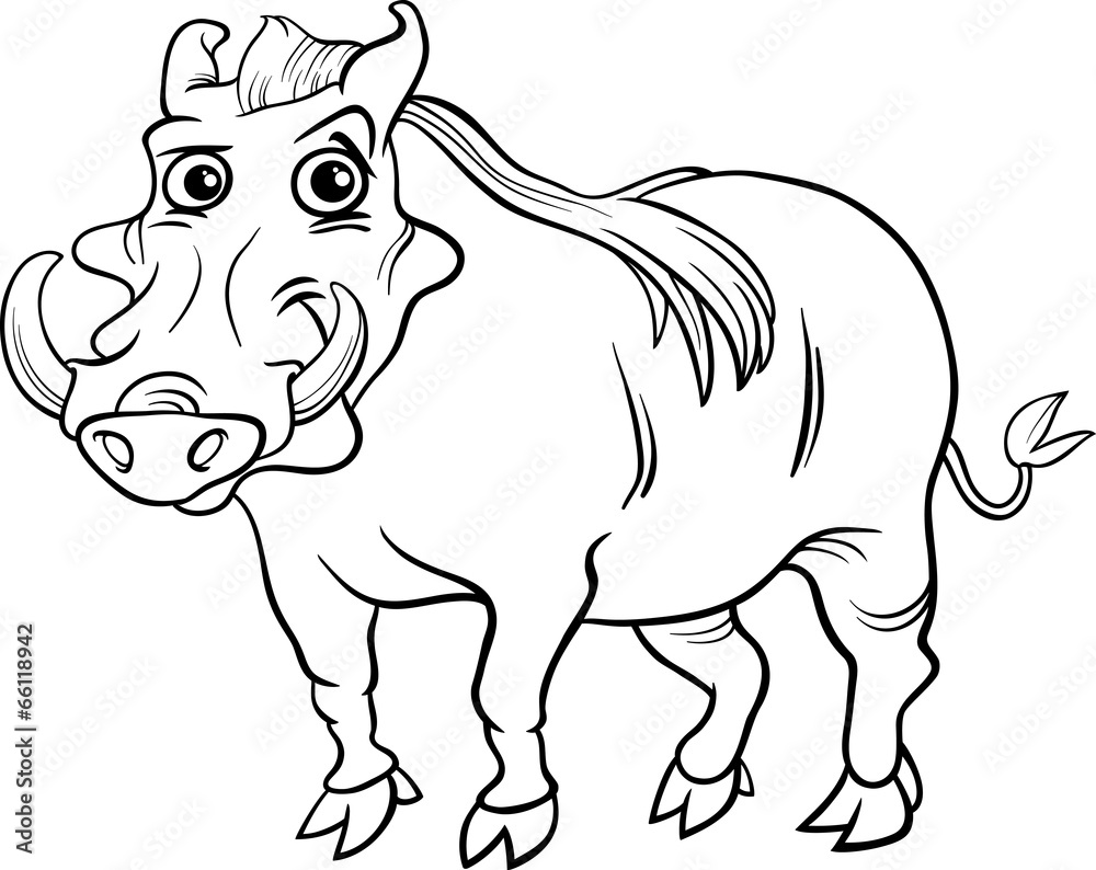 Warthog animal cartoon coloring book vector